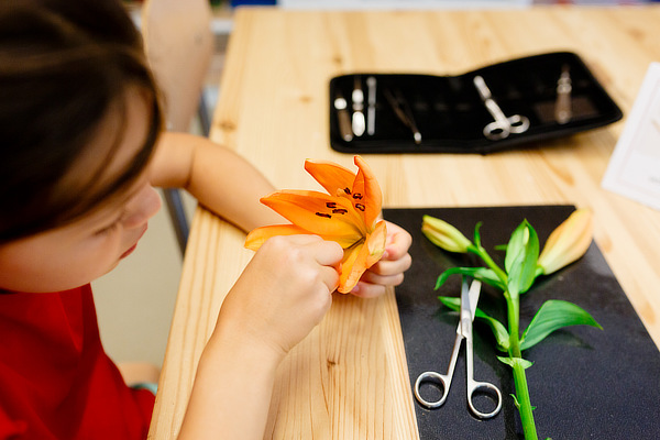 Colegio Montessori en Logroño
